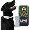 PAJ GPS šunų GPS seklys, 4G, vandeniui atsparus IP67, LED funkcija, PET Finder 4G - Pilkas