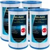 POOLPURE baseino filtrai A arba C tipas, keičiamas, 11,43 x 21,84 cm, PLF-INTA