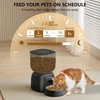 PUPPY KITTY automatinis kačių šėrytuvas su Wi-Fi, nerūdijančio plieno dubeniu, 3 l talpa, F14-W