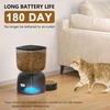 PUPPY KITTY automatinis šėrytuvas katėms su 3 l talpa ir 2 l fontanu, balso įrašymo funkcija, juodas