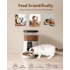 PUPPY KITTY automatinis šėrytuvas katėms ir šunims, Wi-Fi, nerūdijančio plieno dubuo, 4 l talpa, DU35L-WT