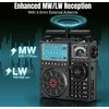 Raddy nešiojamas trumpųjų bangų radijo imtuvas FM AM SW SSB, 5000 mAh akumuliatorius, RF919