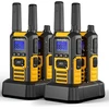 Radioddity PMR446 racijų rinkinys, 4 vnt., IP67, 16 kanalų, 0.5 W, HD-1