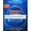 Regevo elektrinė vabzdžių gaudyklė su UV ir LED lempa, 20 W, 4000 V, IPX4, 26JN08