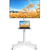 Rfiver mobilus televizoriaus stovas su ratukais 27–60 col., VESA 400 × 400 mm MT2004WHT