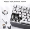 RK ROYAL KLUDGE belaidė mechaninė klaviatūra RGB apšvietimas 87 klavišų TKL Sink87G