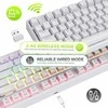 RK ROYAL KLUDGE belaidė mechaninė klaviatūra RGB apšvietimas 87 klavišų TKL Sink87G