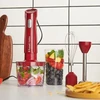 Russell Hobbs rankinis trintuvas 3 viename, 500 W, 2 greičių, 27142-56