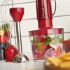 Russell Hobbs rankinis trintuvas 3 viename, 500 W, 2 greičių, 27142-56