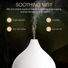 Drėkintuvas SALKING ultragarsinis eterinių aliejų difuzorius 100 ml su LED apšvietimu SK200267EU