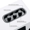 Sanyun lentyninės aktyviosios garso kolonėlės Bluetooth 5.0, 60 W, 24 bitų DAC SW-208