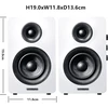 Sanyun lentyninės aktyviosios garso kolonėlės Bluetooth 5.0, 60 W, 24 bitų DAC SW-208