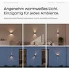 Scandinavian home Lysea lauko sieninis LED šviestuvas, IP65, 6 W, antracito spalvos, WOA1-1952-5696