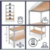 shelfplaza metalinė lentyna 200 x 60 x 50 cm, 5 lentynos, 175 kg apkrova vienai lentynai, ocinkuota