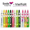SodaTASTE CO₂ balionų keitimo rinkinys Quick Connect sistemai, 4 vnt. iki 240 l vandens, Quick Classic