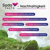 SodaTASTE CO₂ balionų keitimo rinkinys Quick Connect sistemai, 4 vnt. iki 240 l vandens, Quick Classic
