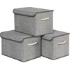 SONGMICS Daiktadėžės 38 x 25 x 25 cm, 3 vnt.