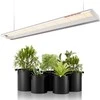 Spider Farmer LED lempa augalams SF600, 75 W, pilnas šviesos spektras, 384 diodai