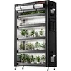 Spider Farmer reguliuojamas 6 lygių metalinis augalų stovas su 10 LED lempų, 220 W, naudoti patalpose