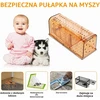 TAKRINK gyvų pelių gaudyklė, 2 vnt., ABS plastikas, oranžinė, EU1035