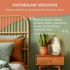 The Body Source Himalajų druskos lempa su reguliuojamu apšvietimu, 2–3kg, balta