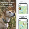 Tractive GPS antkaklis šunims su sveikatos stebėjimu, IP68, iki 14 d. veikimo