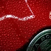 Turtle Wax automobilinis purškiamas vaškas su karnaubu, 500 ml, FG5197