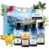 Veddelholzer pirties aromatų rinkinys su natūraliais eteriniais aliejais, 4 × 100 ml