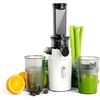 Ventray lėtaeigė sulčiaspaudė 60 aps./min, 130 W, su dviem filtrais, 400 ml talpa, GINNIE