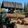 Wiltec rąstų kėlimo žnyplės iki 520 mm, 500 kg keliamosios galios, 62386