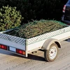 Wiltec transportinis tinklas iš polipropileno 5 x 3 m, žalias, 3 mm, modelis 62923