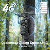 WOLFANG laukinės gamtos stebėjimo kamera su 4G LTE, saulės skydeliu, 2,5K, modelis WT04