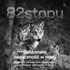 WOLFANG saulės energija maitinama 4G LTE lauko kamera, 2.5 K naktinis matymas, IP66, WT04