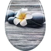 WOLTU lėtai nusileidžiantis unitazo dangtis iš duroplasto, baltas Frangipani, WS2842