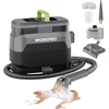 WORKPRO garinis kilimų ir apmušalų valytuvas su 4 režimais, 16 kPa, W125370