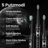 YUNCHI soninis elektrinis dantų šepetėlis C2, 40 000 VPM, USB-C, 5 režimai