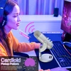 Zealsound USB mikrofonas K66 su triukšmo slopinimo, išjungimo ir eko funkcijomis, sujungimai USB-A/USB-C/Lightning, staliniam naudojimui