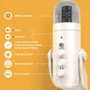 ZealSound USB mikrofonas su triukšmo mažinimu, kardioidinis, stalo laikiklis, K66 perlinis baltas