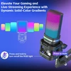 ZealSound USB žaidimų mikrofonas su RGB apšvietimu, komplektas su stovu ir ištraukiamuoju galu, BKD-11 Pro