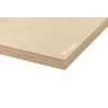 Beržinė fanera 15x1250x2500