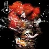 Björk - Biophilia (vinilinė plokštelė, LP)