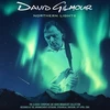 David Gilmour - Northern Lights (Turquoise Marbled Vinyl) 2LP (vinilinė plokštelė)