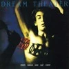 Dream Theater - When Dream And Day Unite (vinilinė plokštelė, LP)