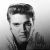 Elvis Presley - The Essential Collection 1LP (vinilinė plokštelė)