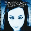 Evanescence - Fallen (vinilinė plokštelė, LP)