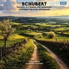 Franz Schubert - Fantasy In C Major / Symphony No. 8 In B Minor, D. 759 1LP (vinilinė plokštelė)