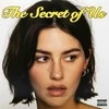 Gracie Abrams - The Secret Of Us (vinilinė plokštelė, LP)