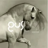 GusGus - Arabian Horse (vinilinė plokštelė, LP)