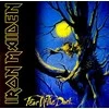 Iron Maiden - Fear Of The Dark (vinilinė plokštelė, LP)