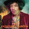 Jimi Hendrix - Experience Hendrix (The Best Of Jimi Hendrix) (vinilinė plokštelė, LP)
